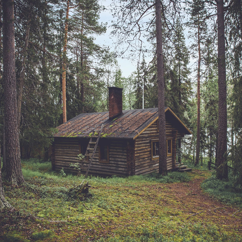 Old cottage in the woods